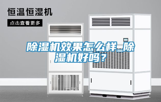 除濕機(jī)效果怎么樣_除濕機(jī)好嗎？