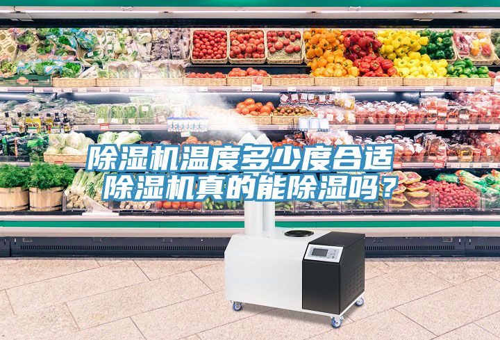 除濕機(jī)溫度多少度合適 除濕機(jī)真的能除濕嗎？