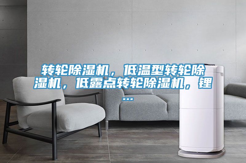 轉輪除濕機，低溫型轉輪除濕機，低露點轉輪除濕機，鋰 ...