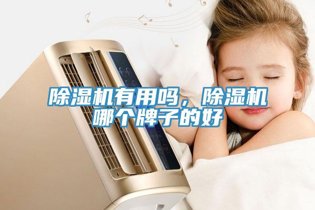 除濕機有用嗎，除濕機哪個牌子的好